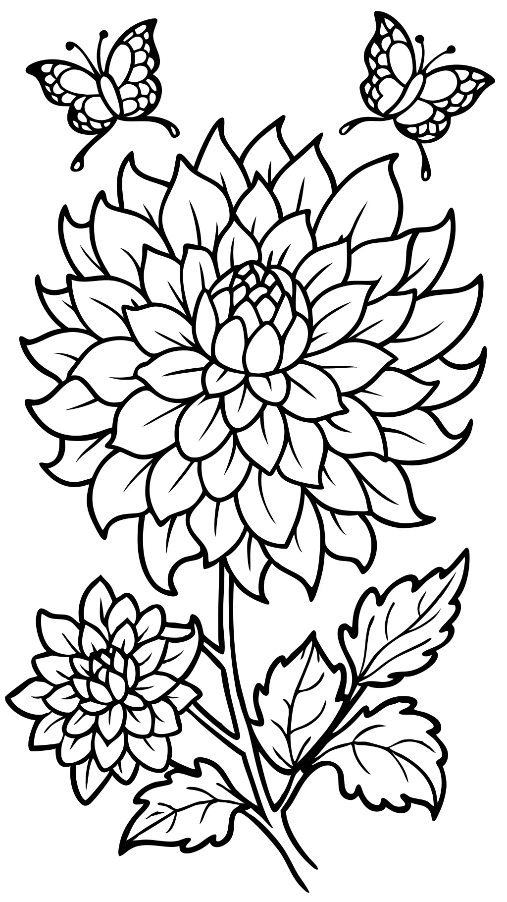 coloriage chrysanthemum